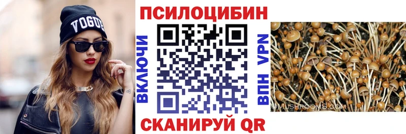Псилоцибиновые грибы мицелий Теберда