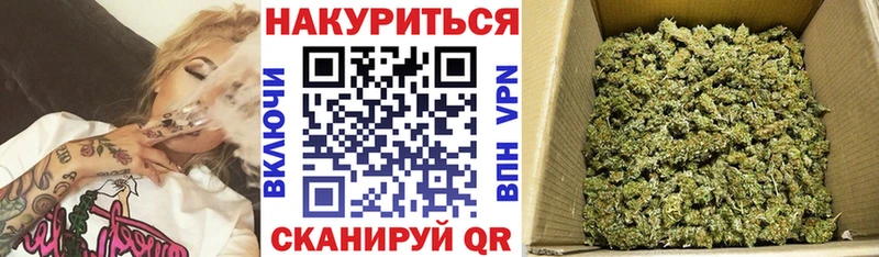 где можно купить Теберда Канабис SATIVA & INDICA